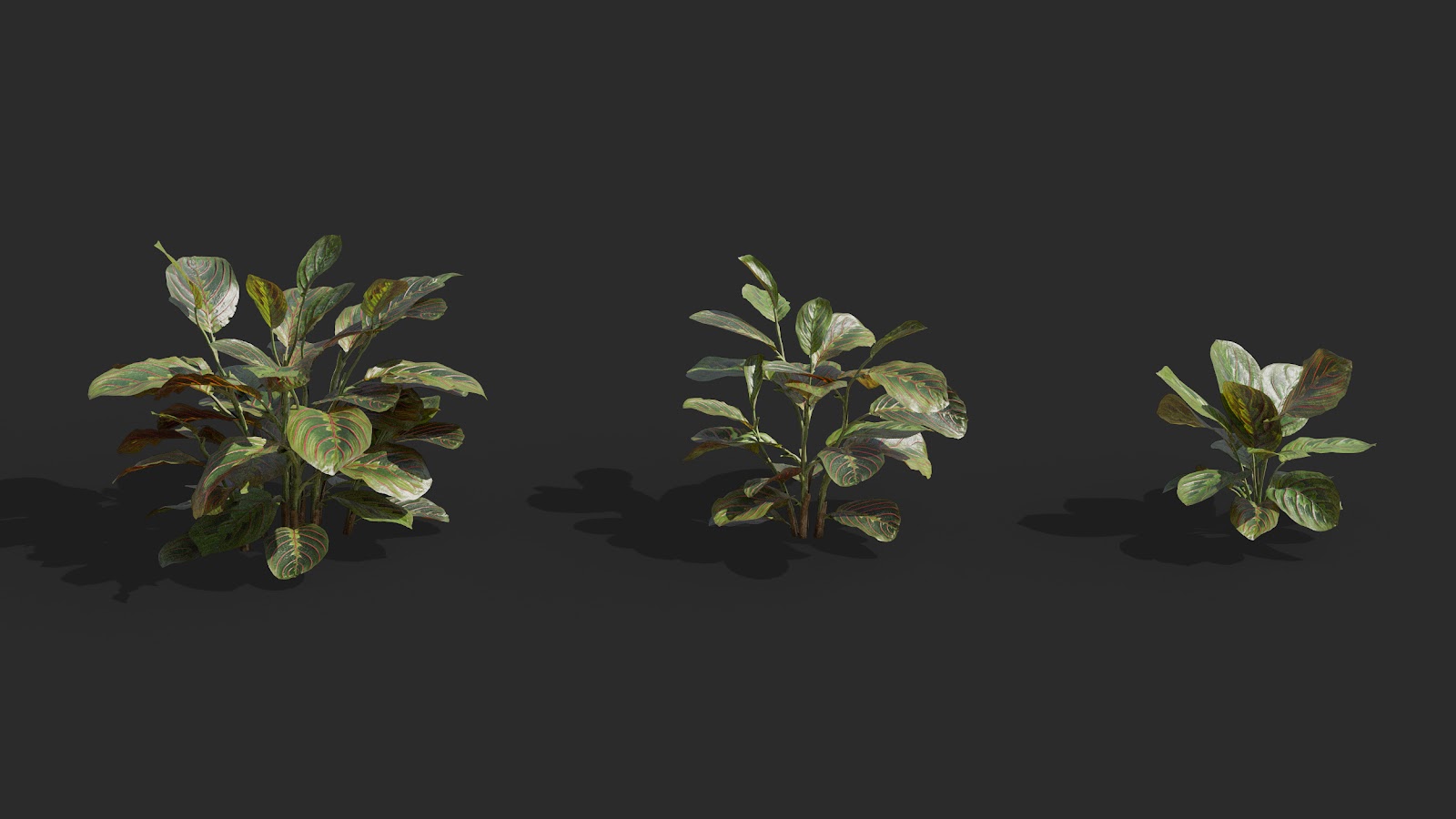 Maxtree - Plant Models Vol.62