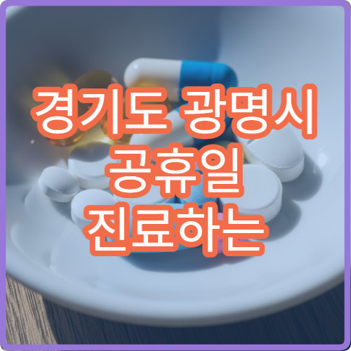 경기도 광명시 공휴일 진료하는 병원 어디? 당직병원 진료과목 및 접수 마감 시간 안내