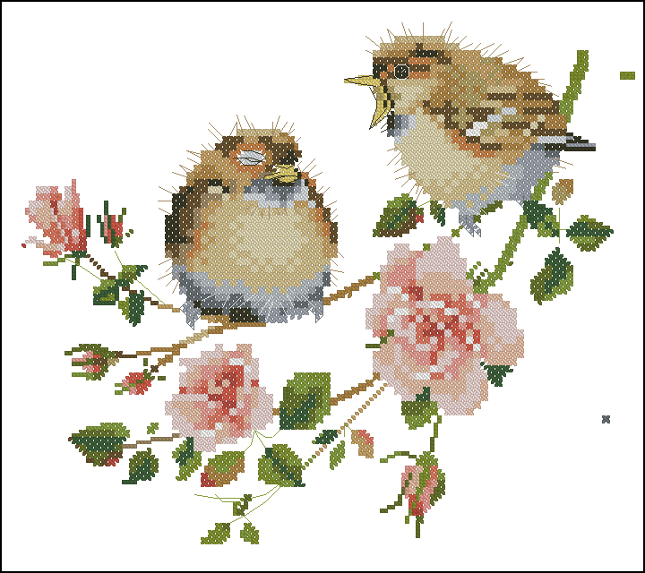 CMP VP778 Rose Chick Chat