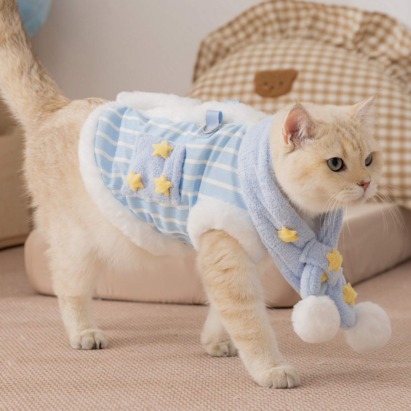Pet warm set with scarf and vest
