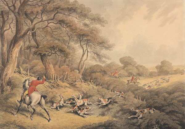 Foxhunting Stopping Hounds That Have Changed