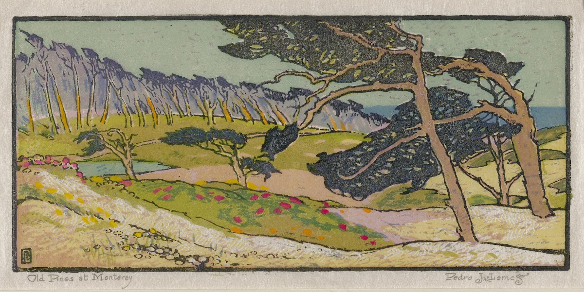 Old Pines at Monterey c 1921