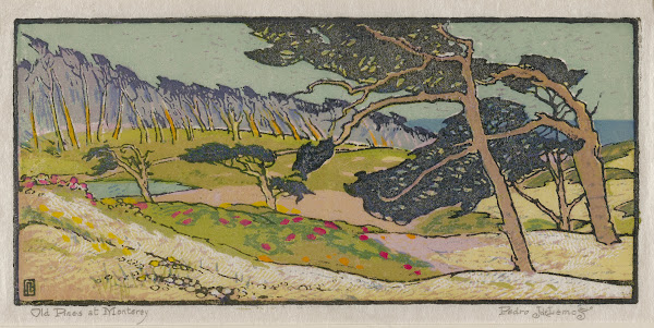 Old Pines at Monterey c 1921