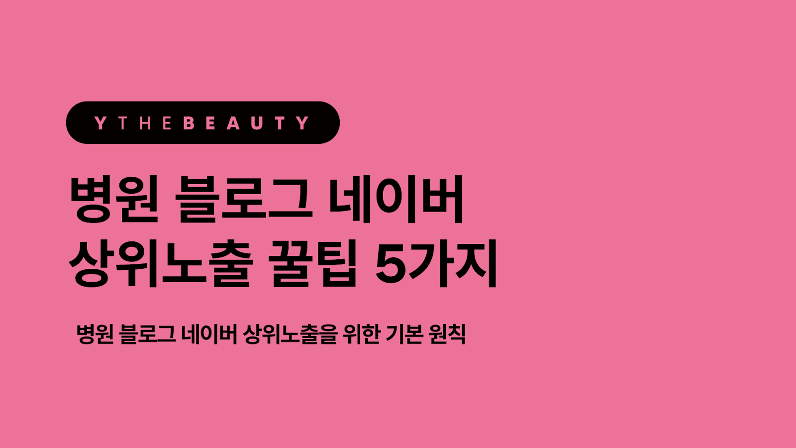 섹션 2 이미지