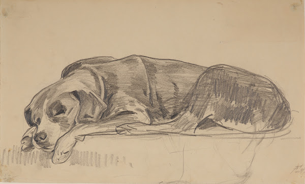 Sleeping dog 1900 1906