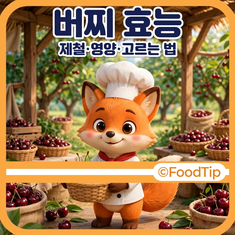 버찌 효능 - 버찌 바구니를 들고 있는 푸드팁 셰프 여우, 제철·영양·고르는 법