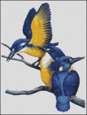 CMP 360116 Three Blue Birds