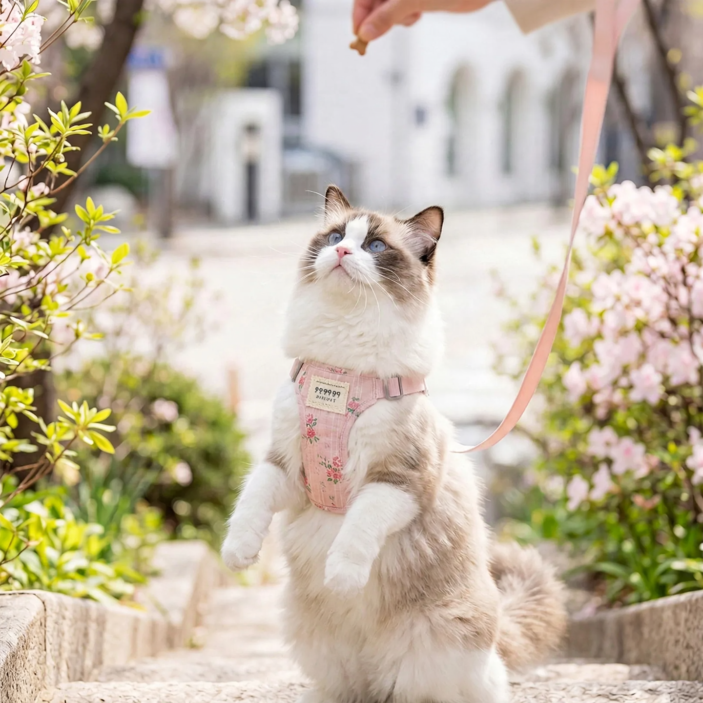 Katzen-Brustgeschirr mit Leine, Stoff