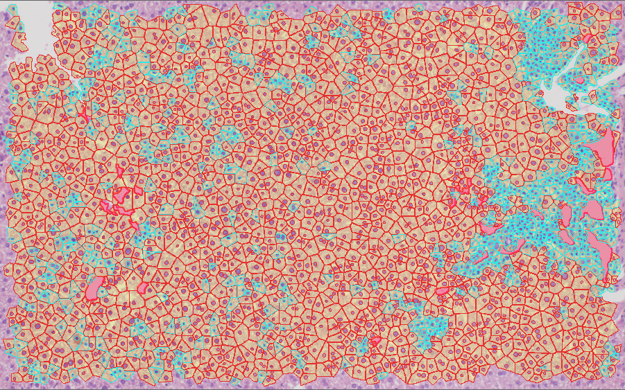 Cluster Visualization