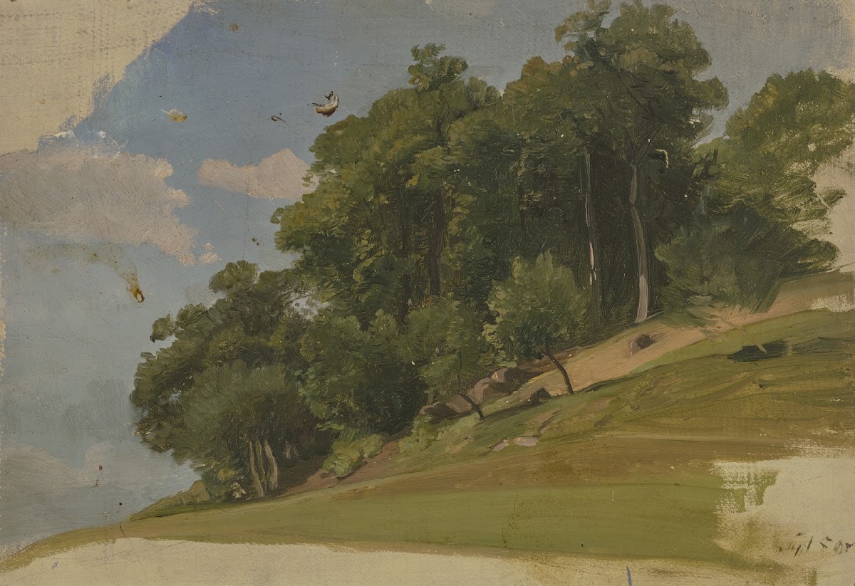Edge of a wood 1850