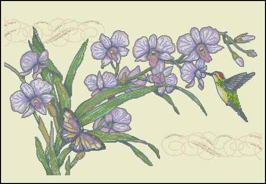 CMP 171338 Orchids & Hummingbird