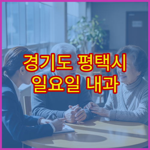 경기도 평택시 일요일 내과 진료 병원 감기·소화불량 상담 가능