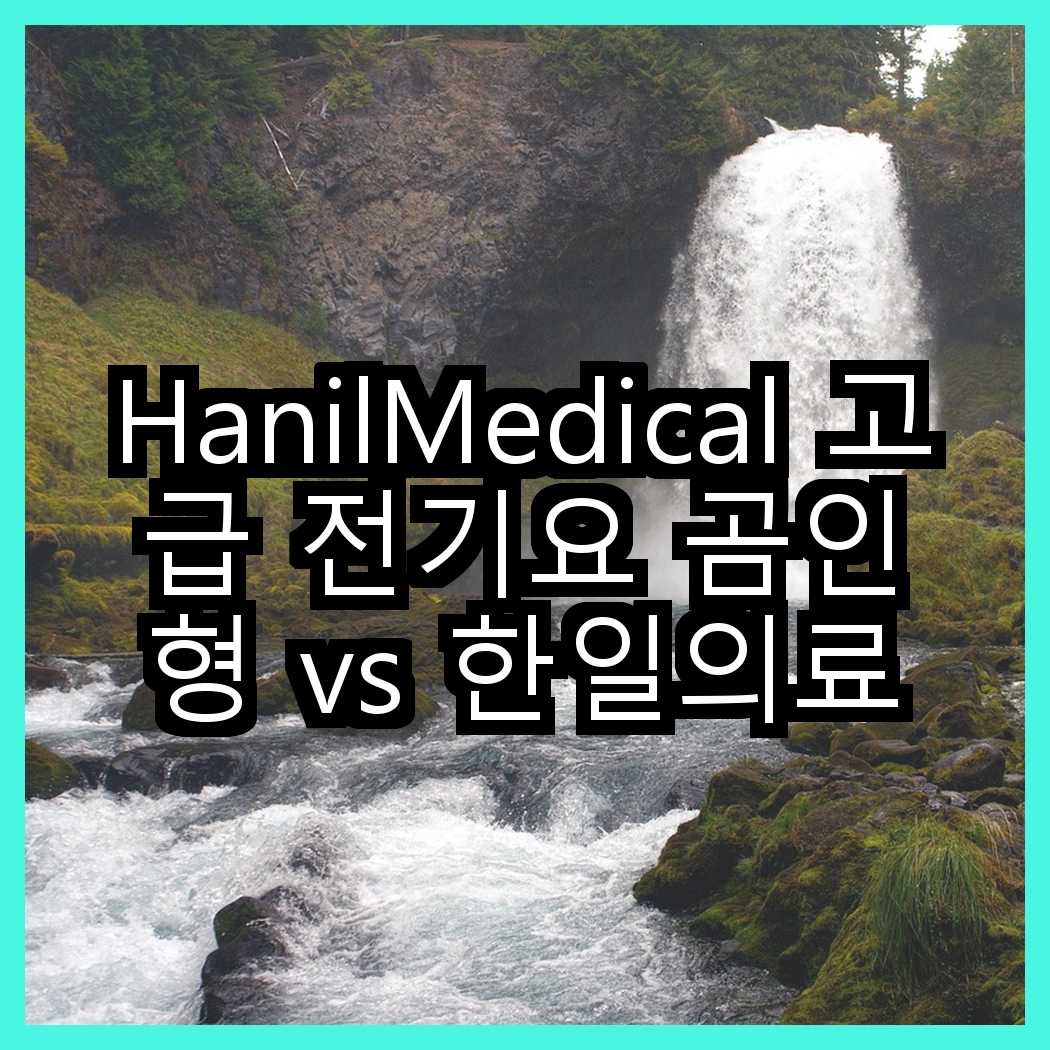 HanilMedical 고급 전기요 곰인형 vs 한일의료기 탄소열선 HL-S205, 어떤 선택이 더 따뜻할까? 썸네일