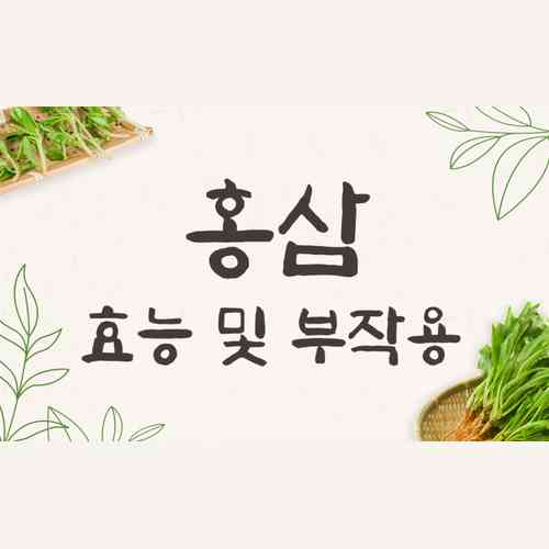 홍삼 효능과 부작용, 섭취 시 주의사항 5가지