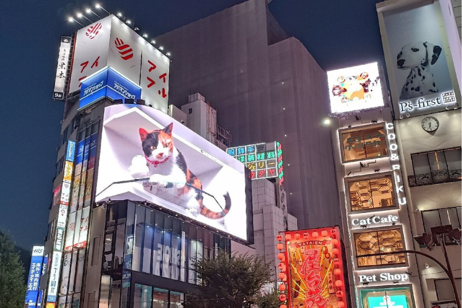 TC- 3835.1- Japan Winter Wonders – Tokyo & Fuji day 4 in Tokyo