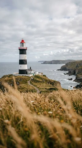 Lighthouse through Golden Grass