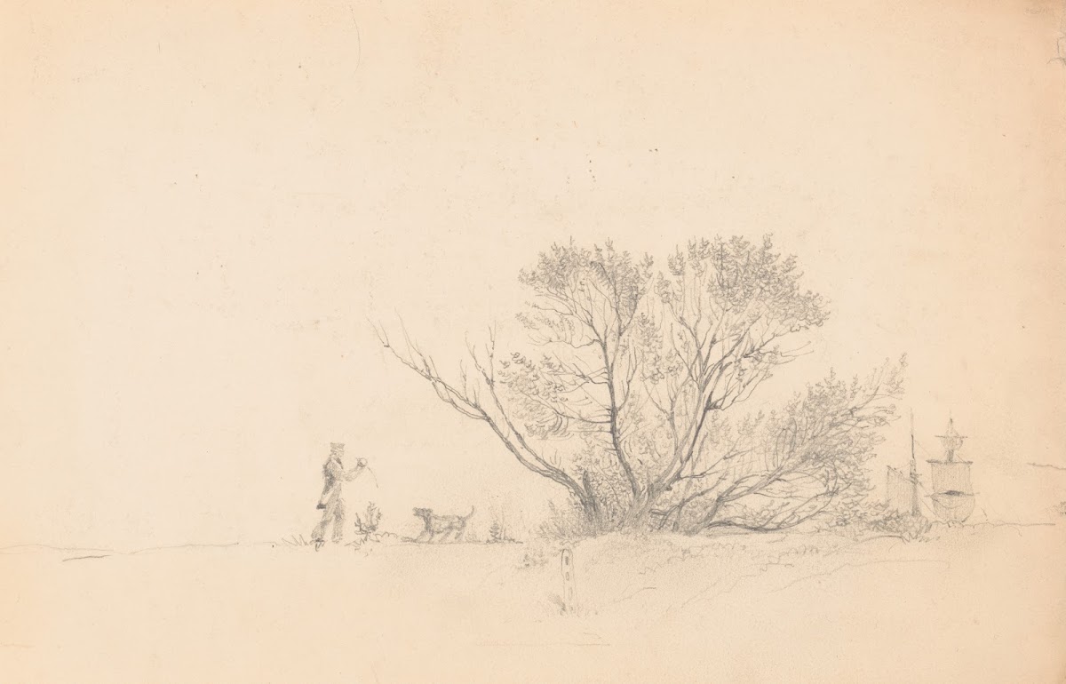 Man playing fetch with a dog near a cluster of trees ship rigging under full sai