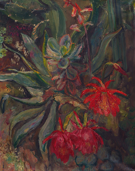 Blühende Kakteen 1929
