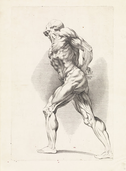 Anatomical study of a standing man 1616   1657