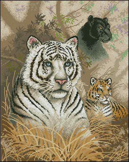 CMP 400271 Eyes In The Wild