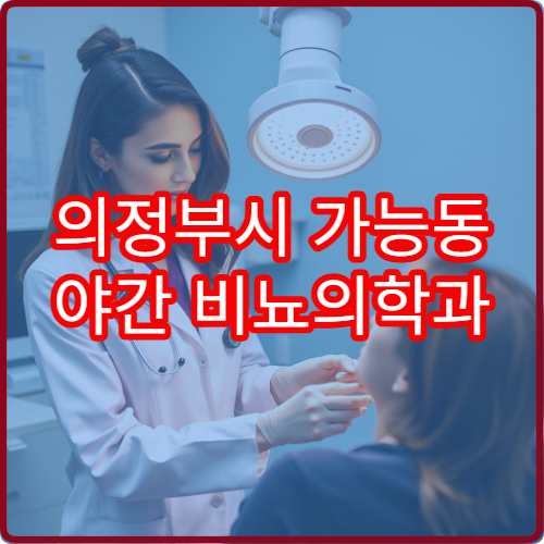 의정부시 가능동 야간 비뇨의학과 소변이상 통증 진료 병원 정보