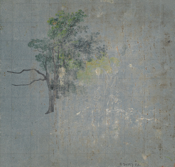 Tree Studies verso 1800 1850