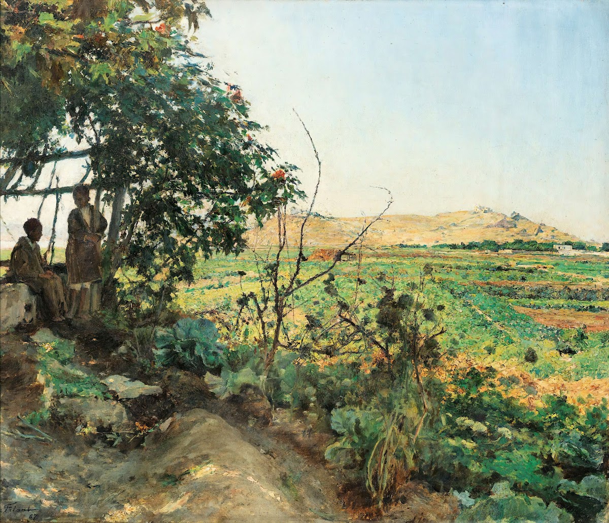Landscape Of The Suburbs Of Tunis 1887