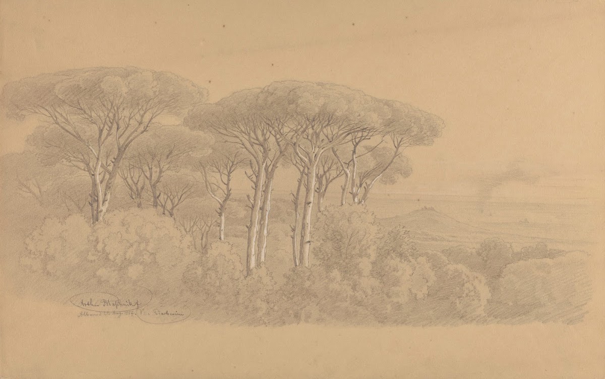 Stone Pines in the Gardens of Villa Barberini in Albano 1857