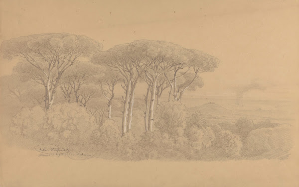 Stone Pines in the Gardens of Villa Barberini in Albano 1857