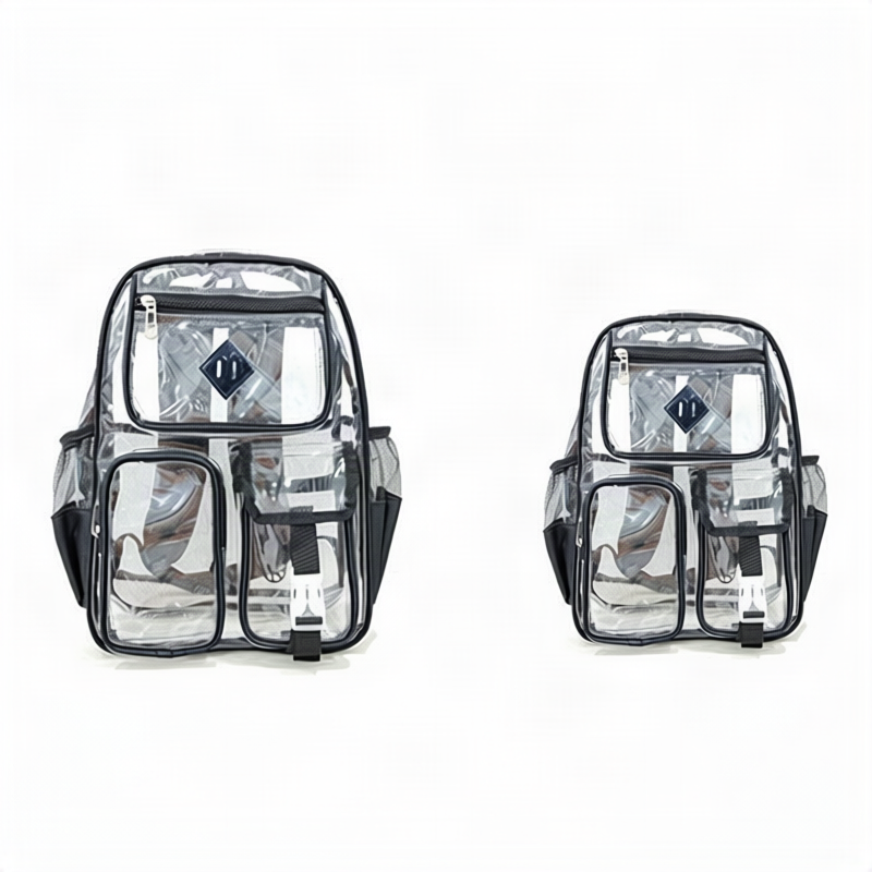 Nylon backpack, transparent, up to 15 inches, durable