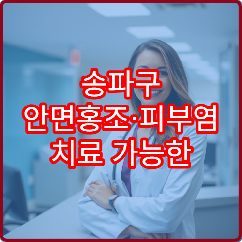송파구 안면홍조·피부염 치료 가능한 피부과 병원 정보