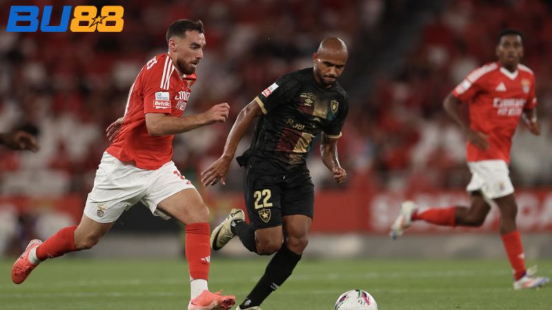 Dự đoán kết quả Benfica vs CF Estrela da Amadora 01:00 ngày 26/01/2026