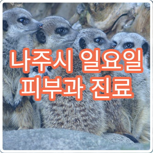 나주시 일요일 피부과 진료 병원 – 여드름, 알레르기, 피부 트러블 주말 진료 안내