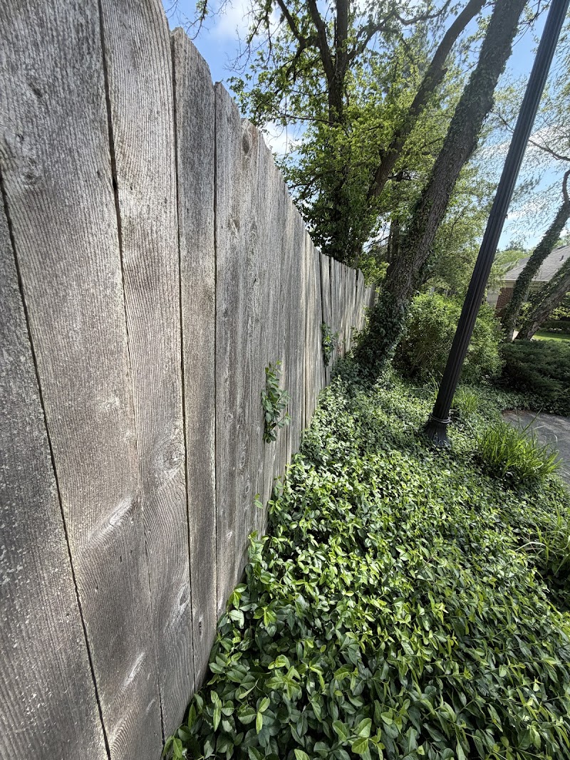 Roundtree fence line before staining, dry uncoated boards along a planted slope