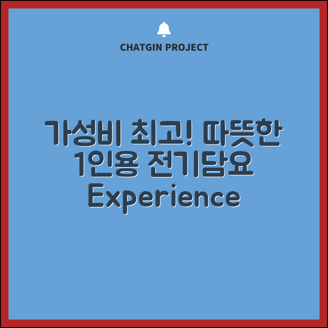 “1인용전기담요, 가성비 최고! 따뜻함을 경험해보세요”
