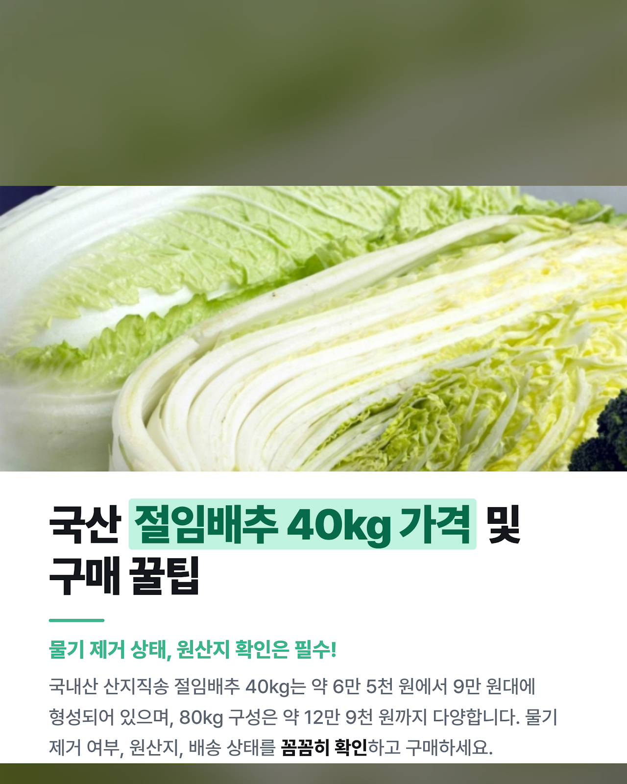 카드뉴스