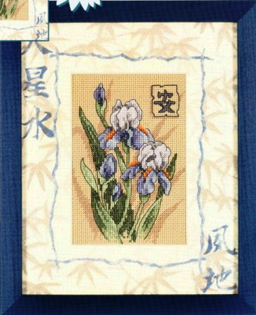 DIM06869 Oriental Irises