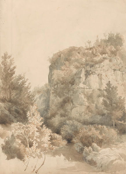 Begroeid dal met een hoge rots en een beek 1827   1897