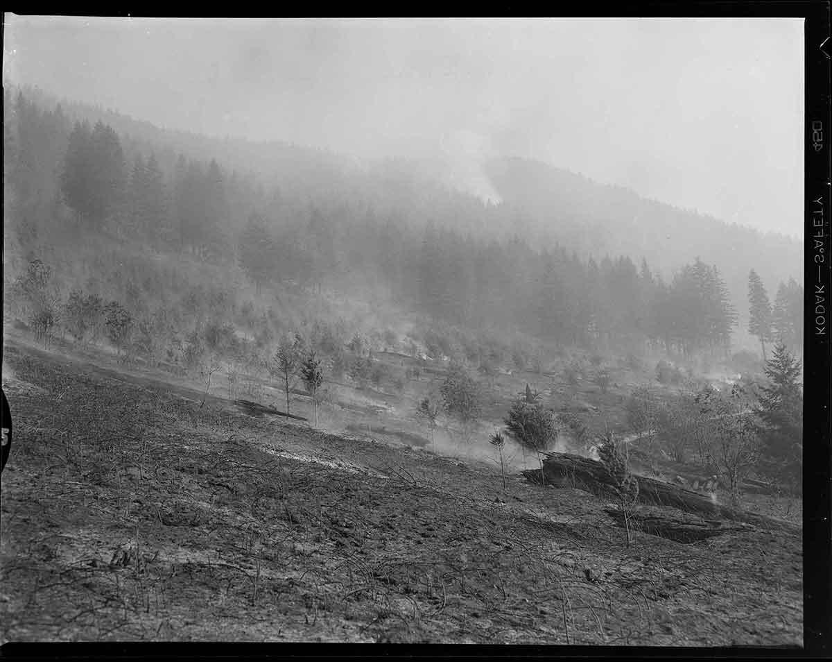 Mt Hood National Forest Fires of October 1952