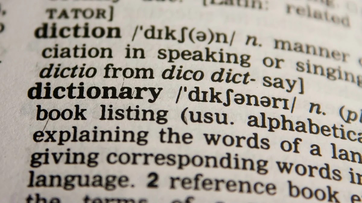 희귀 언어에서 발견되는 시제 표현 방식 차이 분석