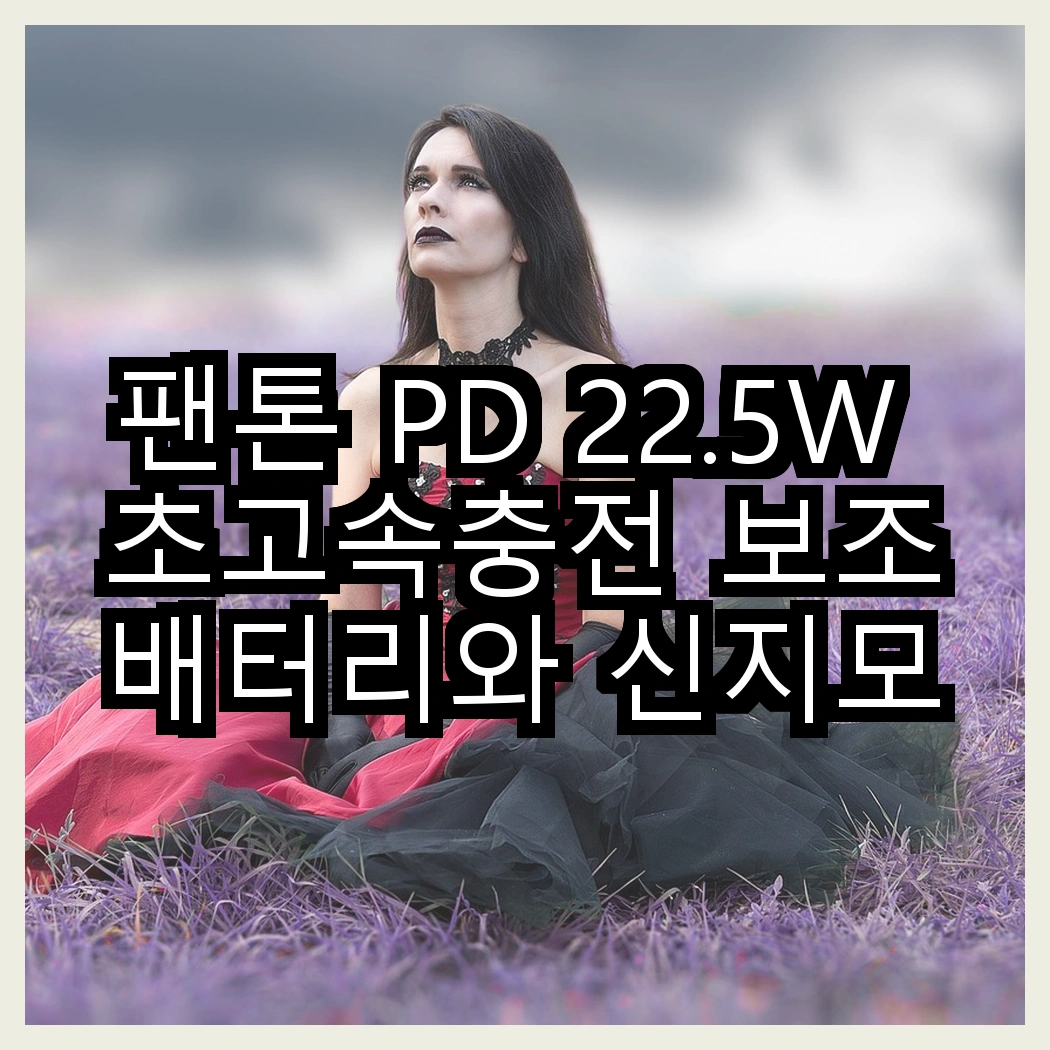 팬톤 PD 22.5W 초고속충전 보조배터리와 신지모루 C to C PD 고속충전 케이블, 어떤 선택이 더 스마트할까? 썸네일