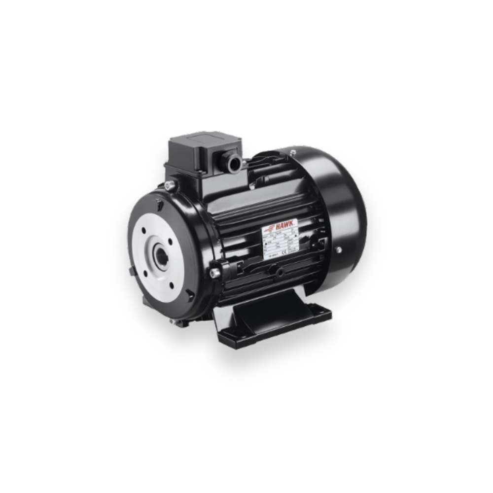 Hollow shaft electric motor