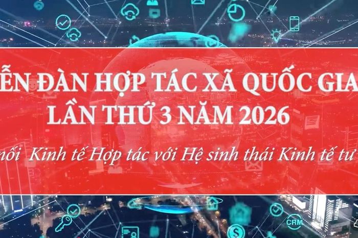 Diễn đàn HTX Quốc gia lần thứ III năm 2026: Kết nối Kinh tế Hợp tác với Hệ sinh thái Kinh tế tư nhân - Tạp chí Vnbusiness