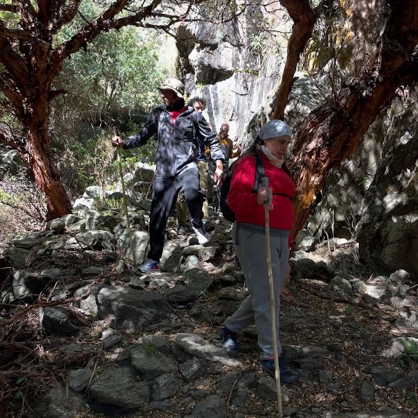 Trek Piedra del Molino y Bosque de Tabaquillos