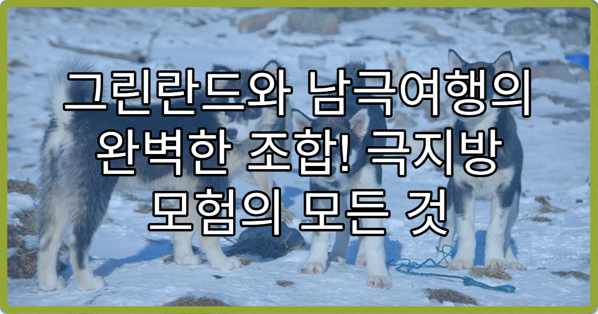 그린란드와 남극여행의 완벽한 조합! 극지방 모험의 모든 것