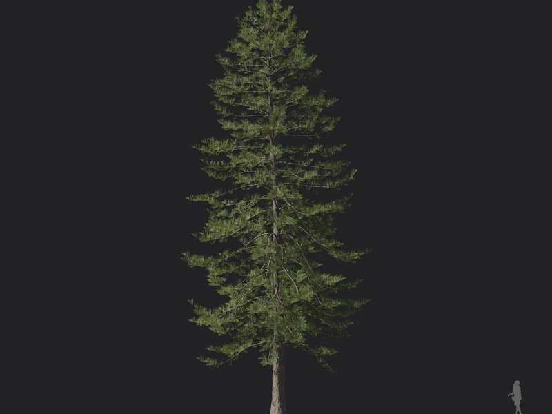 Maxtree - Plant Models Vol.121