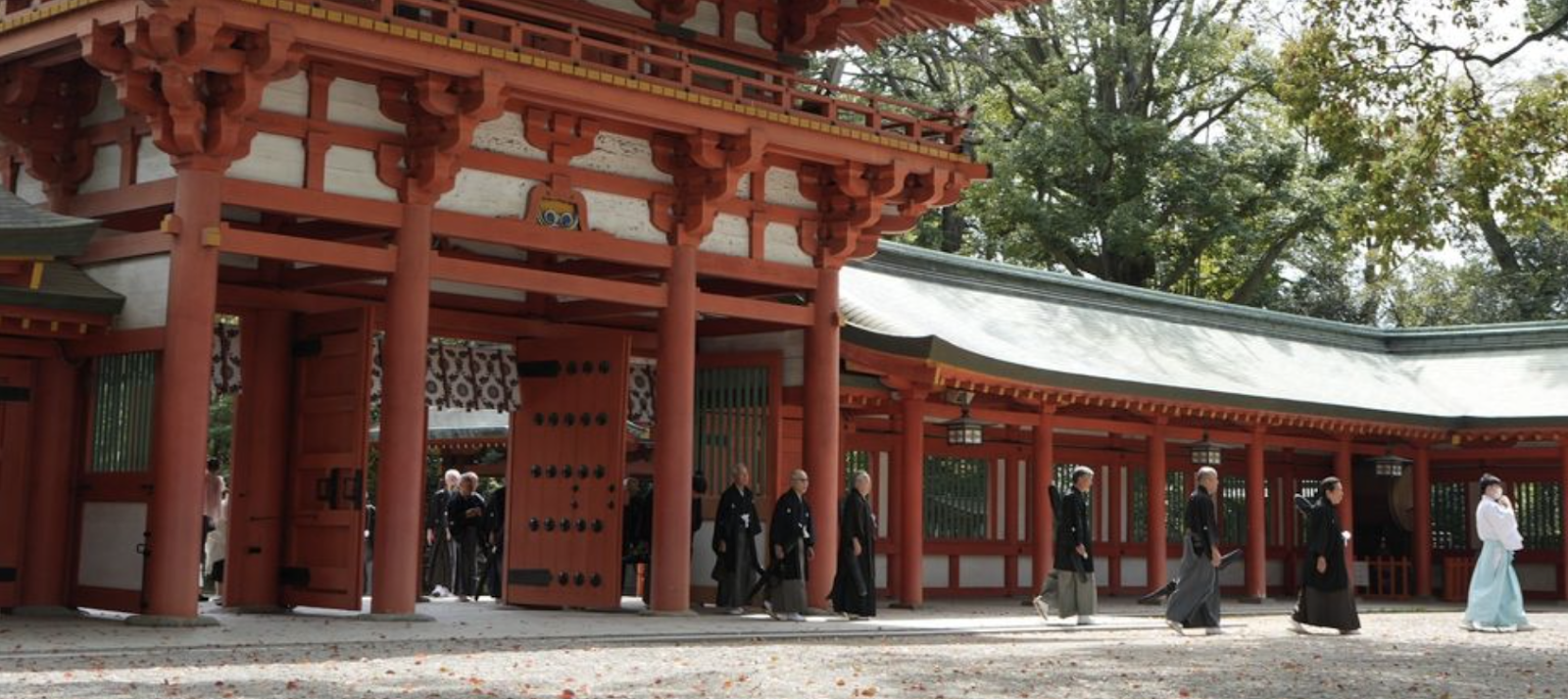 image from 氷川神社奉納演武2024