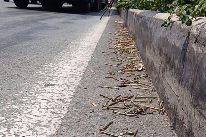 Hàng trăm đinh vít rơi vãi trên đường Mỹ Phước – Tân Vạn - Báo Pháp Luật TP.HCM