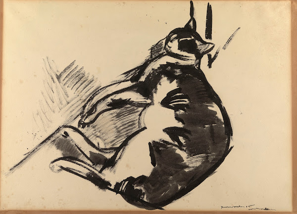 Cat Lying 1915