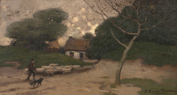 Return of the flock